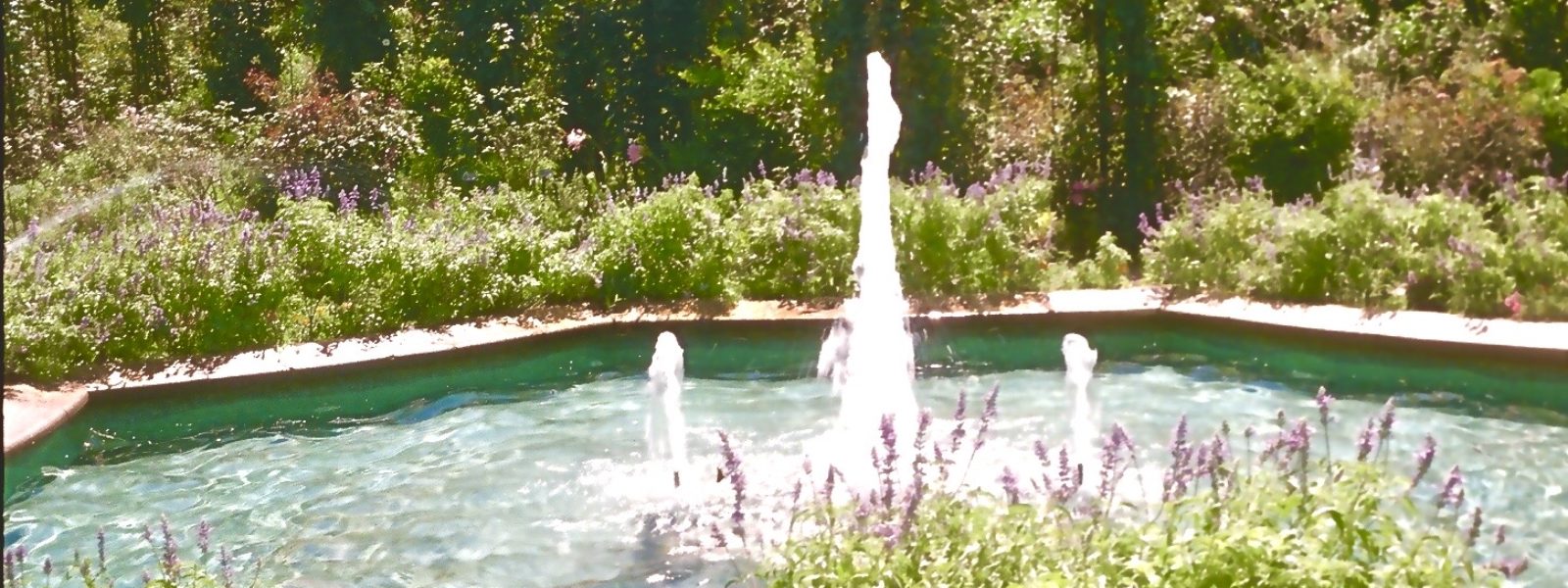 今日から美活はじめました