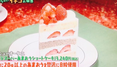 ニューオータニのあまおうショートケーキ マツコの知らない世界 By Myself 今日の気になる気になる記