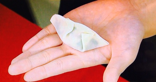 プロが作る美味しい餃子の作り方 下準備から水を使わない包み方まで この差って何ですか By Myself 今日の気になる気になる記