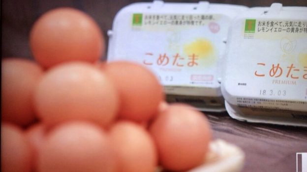 梅沢富美男の卵かけご飯 白い黄身の卵コメタマ購入お取り寄せ サタデープラス By Myself 今日の気になる気になる記