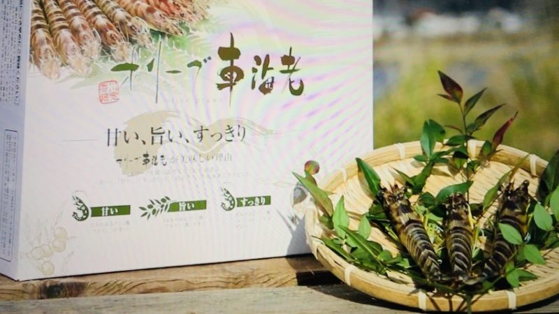 香川県仁尾産商のオリーブ車海老お取り寄せ 青空レストラン By Myself 今日の気になる気になる記